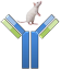 monoclonal antibodies