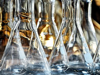 Production and Purification of Monoclonal Antibodies