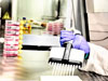 in vitro immunization